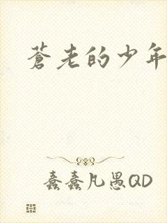 苍老的少年封面