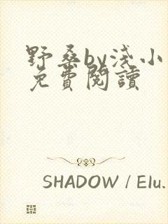 野桑by浅小说免费阅读