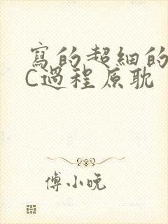 写的超细的多肉C过程原耽