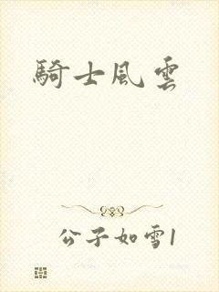 骑士风云