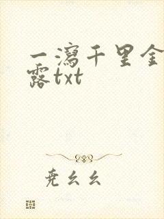 一泻千里金银花露txt