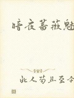 暗夜蔷薇魅封面