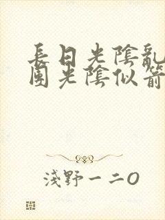 长日光阴乱作一团光阴似箭必读