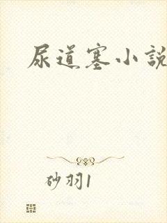 尿道塞小说封面