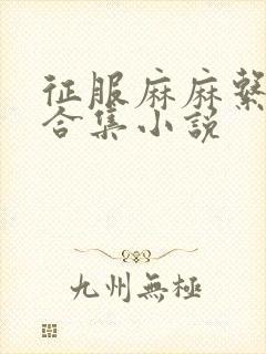 征服麻麻系列大合集小说