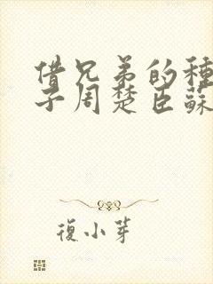 借兄弟的种生孩子周楚臣苏糖