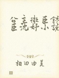 公主微臣馋了微臣沈妤小说