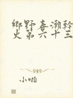 乡野春潮干柴烈火第六十三章封面