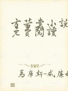 方若棠小说全文免费阅读封面