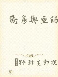 飞鸟与鱼的故事