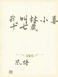 我叫林小喜今年十七岁封面