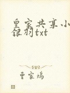 皇家共享小公主银羽txt