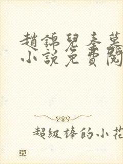 赵锦儿秦慕修的小说免费阅读全文