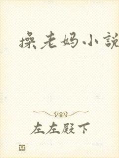 操老妈小说