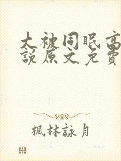 大被同眠高粱小说原文免费阅读