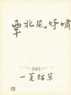 西北风呼啸的中午