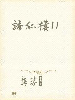 诱红楼11