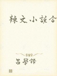 辣文小说合集封面