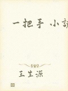 一把手 小说