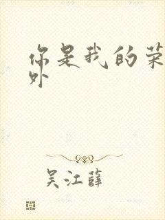 你是我的荣耀番外封面