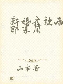 新婚夜被两个伴郎享用封面