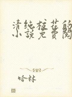 清纯校花的秘密小说免费阅读