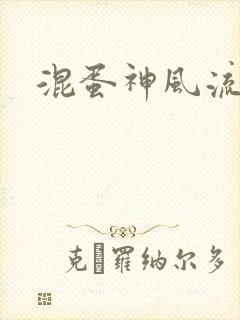混蛋神风流
