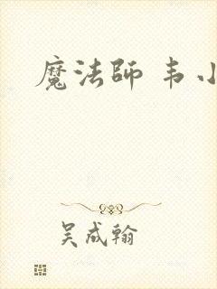 魔法师 韦小宝封面