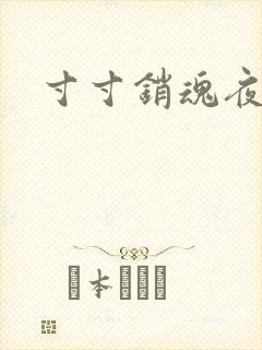 寸寸销魂夜春光