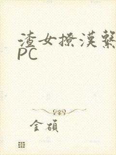 渣女撩汉系统NPC