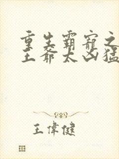 重生霸宠之摄政王爷太凶猛