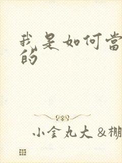 我是如何当神豪的