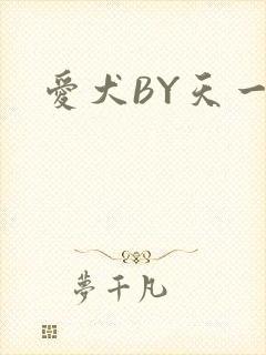 爱犬BY天一