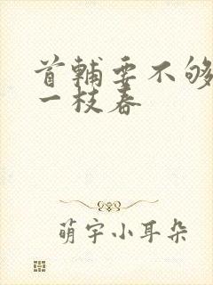 首辅要不够po一枝春封面