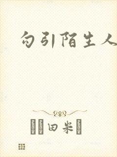 勾引陌生人封面