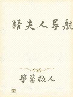 精夫人导航
