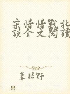 宋惜惜战北望小说全文阅读封面