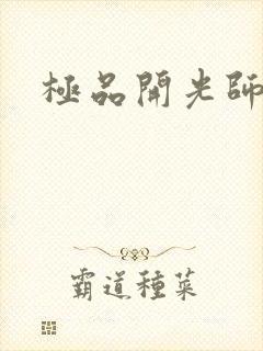 极品开光师封面