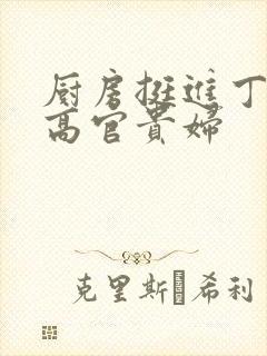 厨房挺进丁字裤高官贵妇