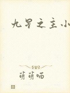 九星之主小说封面