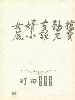 女婿有劲枪枪到底小说免费看