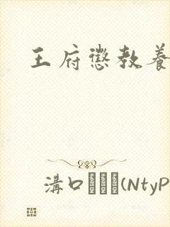 王府惩教养日常