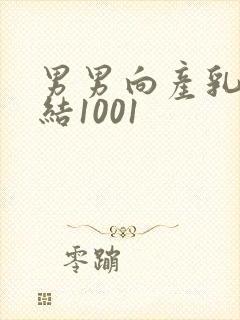 男男向产乳文小结1001封面