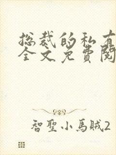 总裁的私有宝贝全文免费阅读