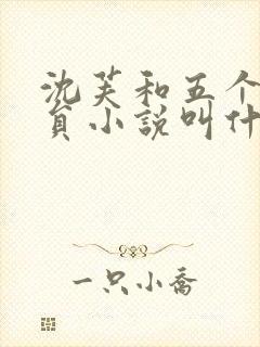 沈芙和五个消防员小说叫什么