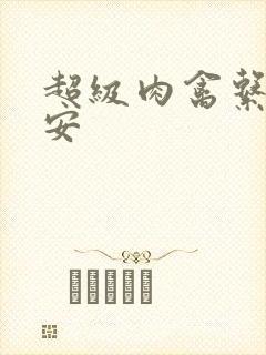 超级肉禽系统保安封面