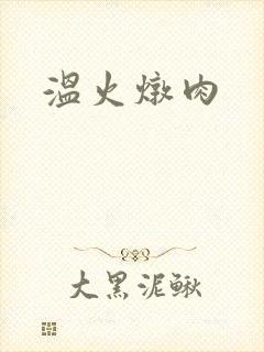 温火炖肉