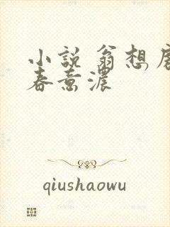 小说 翁想房中春意浓