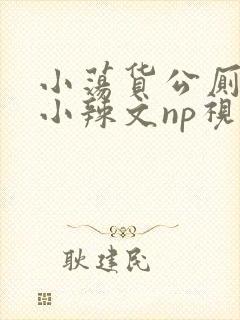 小荡货公厕h文小辣文np视频