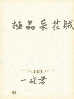 极品采花贼